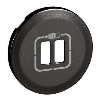 Лицевая панель 2 x USB графит, Celiane