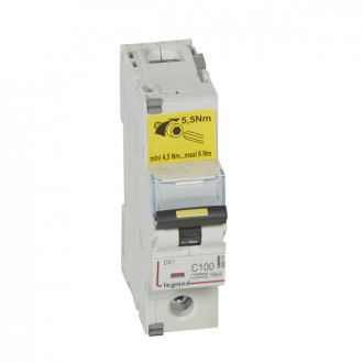 Автоматический выключатель DX3 - 16 кА 1П 100A тип C