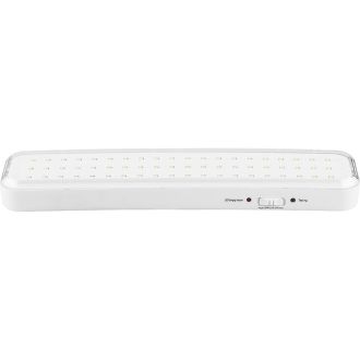 Светильник аккумуляторный, 60LED AC/DC, белый, EL121, Feron, 12671