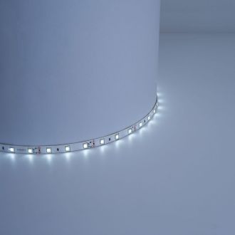 Светодиодная LED лента Feron LS603, 60SMD(2835)/m 4.8W/m 12V 5m 6500К, 27603