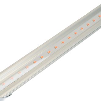 Лампа светодиодная для растений T8 Feron LB-7063 G13 0,6м 11W 175-265V красно-синий спектр пластик, 38278