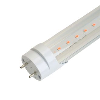 Лампа светодиодная для растений T8 Feron LB-7063 G13 0,6м 11W 175-265V красно-синий спектр пластик, 38278