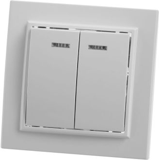 Выключатель 2-клавишный с индикатором STEKKER, PSW10-9002-01, 250В, 10А, серия Эрна, белый, 39042