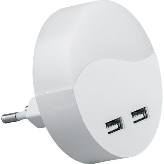 Светильник ночник Feron c 2мя USB выходами, FN1122 0,5W 230V, белый, 41021