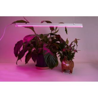 Светодиодный светильник для растений, спектр фотосинтез (красно-синий) 18W, пластик, AL7001, Feron, 41353