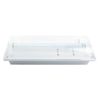 Светильник аварийный, 20 LED AC/DC, белый, EM100, Feron, 41535