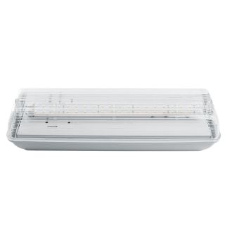 Светильник аварийный, 20 LED AC/DC, белый, EM101, Feron, 41536