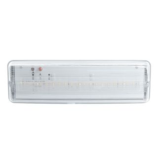 Светильник аварийный, 20 LED AC/DC, белый, EM101, Feron, 41536