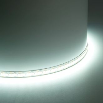 Светодиодная LED лента Feron LS617, 240SMD(2835)/м 19Вт/м 12V 5000*10*1.22мм 6500К, IP20, 48828