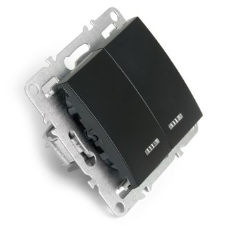 Выключатель 2-клавишный с индикатором (механизм), STEKKER, PSW10-9102-03, 250В, 10А, серия Эрна, черный, 49147