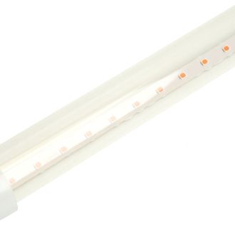 Лампа светодиодная для растений T8 Feron LB-7063 G13 стекло 0,6м 11W 175-265V красно-синий спектр, 51662