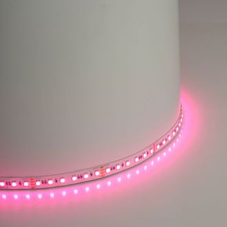Светодиодная LED лента Feron LS501, 120SMD(3535)/м 11Вт/м 24V 5000*10*1.5мм RGB IP20, 51823