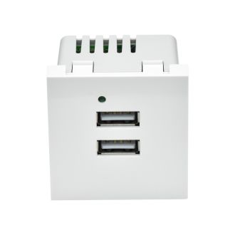 PRIMER РКЮ-23-40-П Розетка USB A+A 5В 4,2А (2 модуля) белая, IEK PR-KK40D-RU-0-2-AA-K01