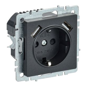 BRITE Розетка 1-местная с заземлением с защитными шторками 16А с USB A+A 5В 2,1А черный