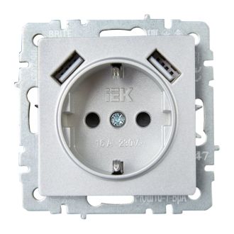 BRITE Розетка 1-местная с заземлением с защитными шторками 16А с USB A+A 5В 2,1А алюминий