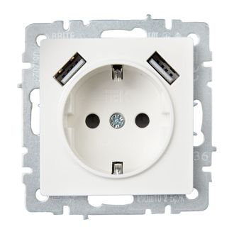 BRITE Розетка 1-местная с заземлением с защитными шторками 16А с USB A+A 5В 3,1А жемчуг