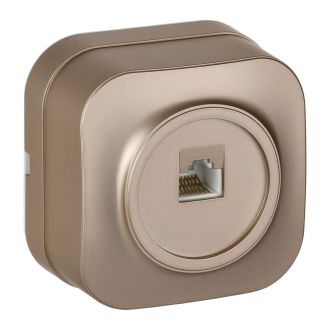 GLORY Розетка для открытой установки компьютерная RJ45 кат.5E шампань матовый
