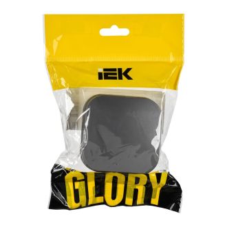 GLORY Выключатель 1-клавишный для открытой установки 10А сталь матовый