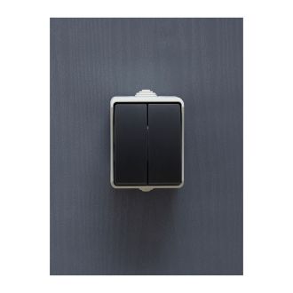 FORS Выключатель 2-клавишный для открытой установки 10А IP54 серый