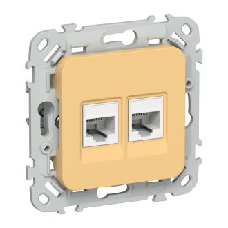 FLITE Розетка 2-местная RJ45/RJ11 категория 5Е/3 UTP золотарник