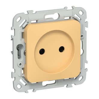 FLITE Розетка без заземления без защитных шторок безвинтовое крепление 10А золотарник