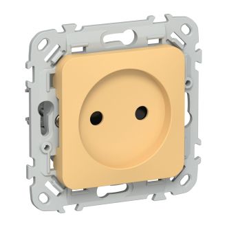 FLITE Розетка без заземления с защитными шторками безвинтовое крепление 10А золотарник