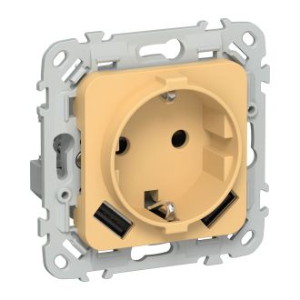 FLITE Розетка 1-местная с заземлением с защитными шторками 16А с USB A+A 3,1А безвинтовое крепление золотарник
