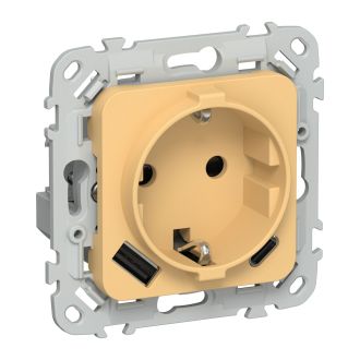 FLITE Розетка 1-местная с заземлением с защитными шторками 16А с USB A+C 20Вт безвинтовое крепление золотарник