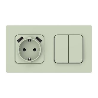 FLITE Розетка 1-местная с заземлением с защитными шторками 16А с USB A+A 3,1А панг