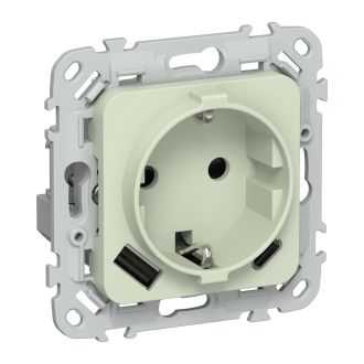 FLITE Розетка 1-местная с заземлением с защитными шторками 16А с USB A+C 20Вт панг