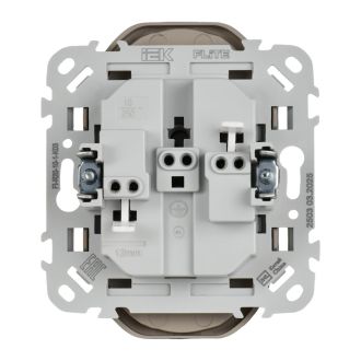 FLITE Розетка 2-местная без заземления без защитных шторок безвинтовое крепление 10А серый