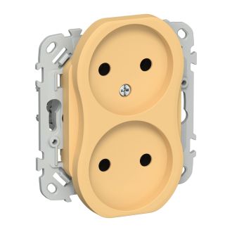 FLITE Розетка 2-местная без заземления без защитных шторок 10А золотарник
