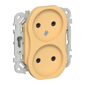 FLITE Розетка 2-местная без заземления с защитными шторками 10А золотарник