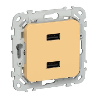 FLITE Розетка USB A+A 2,1А золотарник