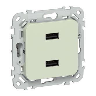 FLITE Розетка USB A+A 2,1А панг