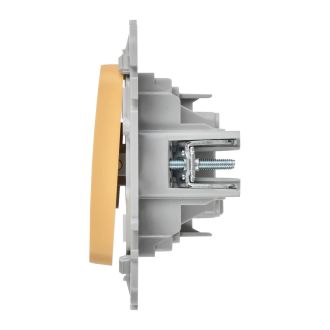 FLITE Выключатель 1-клавишный 10А золотарник