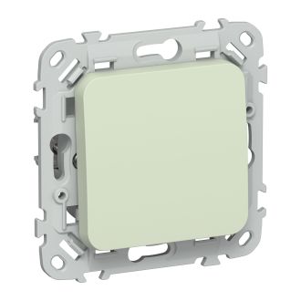 FLITE Выключатель 1-клавишный 10А панг