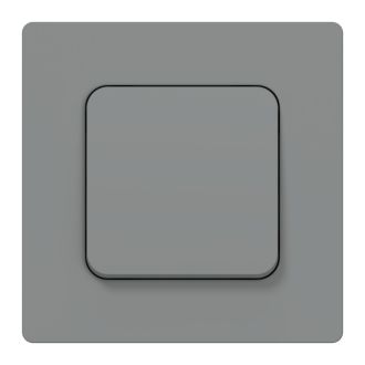 FLITE Выключатель 1-клавишный 2-полюсный 10А серый