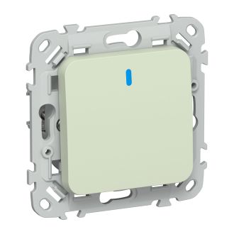 FLITE Выключатель 1-клавишный с индикацией 10А панг