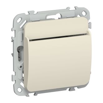 FLITE Выключатель карточный 30А сливочный