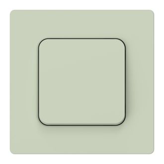 FLITE Выключатель 1-клавишный кнопочный 10А панг