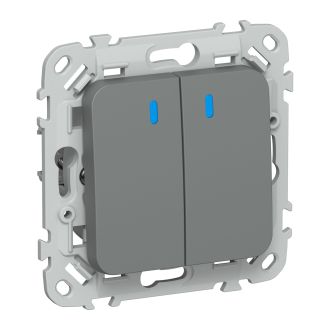 FLITE Выключатель 2-клавишный кнопочный с индикацией 10А мокрый асфальт
