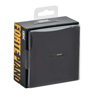 FORTE&PIANO Розетка USB A+C 18Вт металл черный