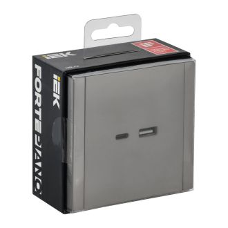 FORTE&PIANO Розетка USB A+C 3,1А сталь