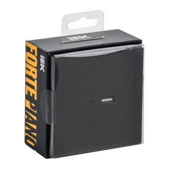 FORTE&PIANO Розетка USB A+C 3,1А металл черный