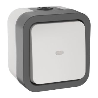 TORS Переключатель одноклавишный с индикацией 10А IP55 серо-белый