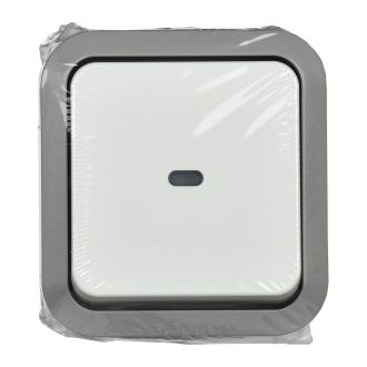 TORS Переключатель одноклавишный с индикацией 10А IP55 серо-белый