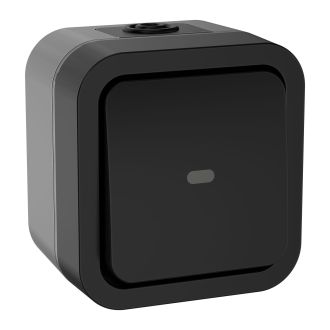 TORS Переключатель одноклавишный с индикацией 10А IP55 графит