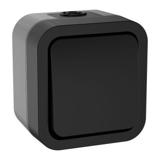 TORS Выключатель двухполюсный одноклавишный 10А IP55 графит