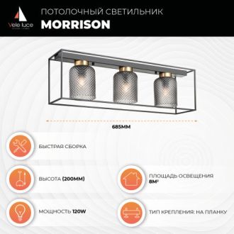 Накладной светильник Vele Luce VL5472L03